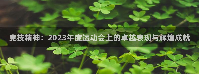 betway西汉姆联：竞技精神：2023年度运动会上的卓越表现与辉煌成就
