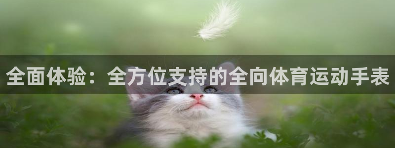 betway西汉姆联：全面体验：全方位支持的全向体育运动手表