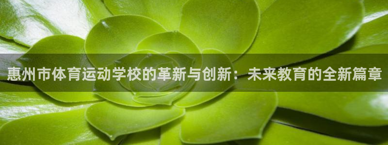 必威betway西汉姆联：惠州市体育运动学校的革新与创新：未来教育的全新篇章