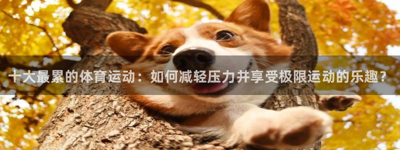 betway西汉姆联官网：十大最累的体育运动：如何减轻压力并享受极限运动的乐趣？