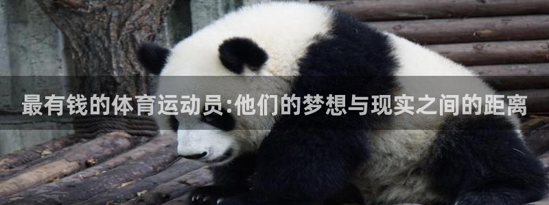 betway西汉姆：最有钱的体育运动员:他们的梦想与现实之间的距离