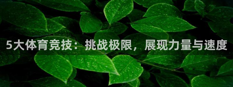 betway西汉姆：5大体育竞技：挑战极限，展现力量与速度