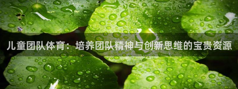 betway西汉姆联：儿童团队体育：培养团队精神与创新思维的宝贵资源
