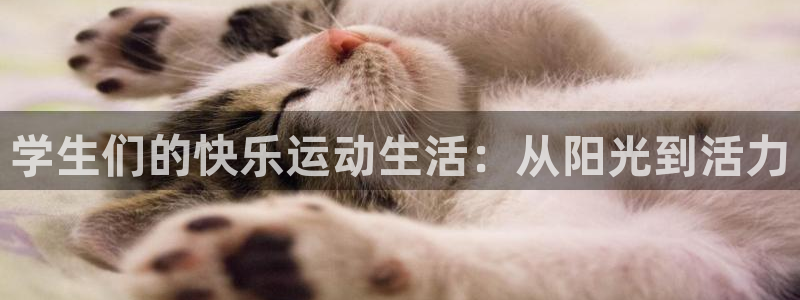 betway西汉姆联：学生们的快乐运动生活：从阳光到活力
