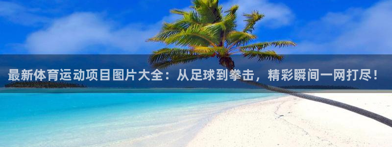 必威betway西汉姆联：最新体育运动项目图片大全：从足球到拳击，精彩瞬间一网打尽！