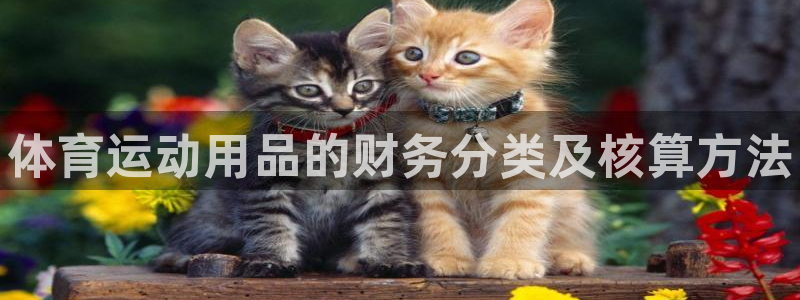 betway西汉姆：体育运动用品的财务分类及核算方法