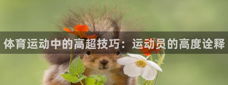 betway西汉姆：体育运动中的高超技巧：运动员的高度诠释