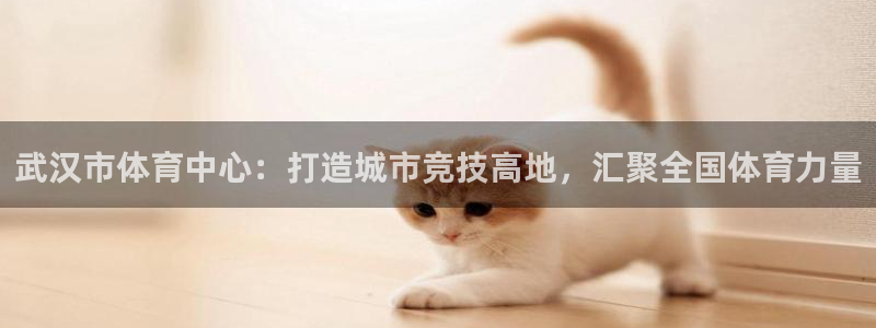 betway西汉姆联：武汉市体育中心：打造城市竞技高地，汇聚全国体育力量
