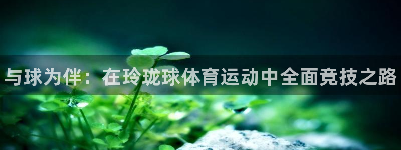 betway西汉姆：与球为伴：在玲珑球体育运动中全面竞技之路