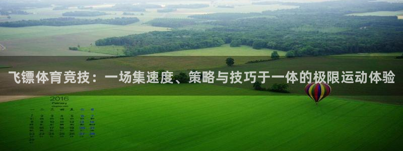 betway西汉姆联：飞镖体育竞技：一场集速度、策略与技巧于一体的极限运动体验