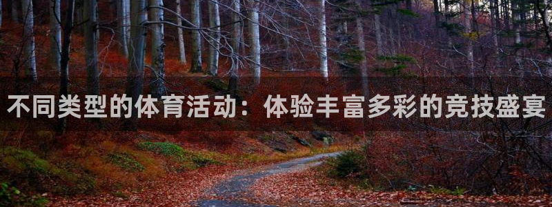 betway西汉姆官网：不同类型的体育活动：体验丰富多彩的竞技盛宴