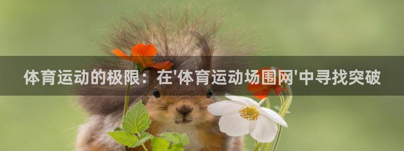 betway西汉姆：体育运动的极限：在\'体育运动场围网\'中寻找突破