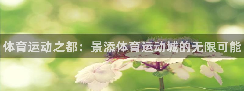 betway西汉姆：体育运动之都：景添体育运动城的无限可能