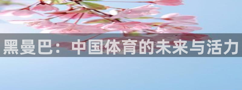 betway西汉姆联官网：黑曼巴：中国体育的未来与活力