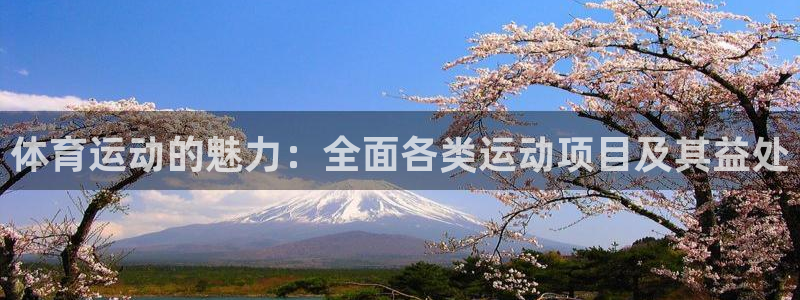 betway西汉姆联：体育运动的魅力：全面各类运动项目及其益处