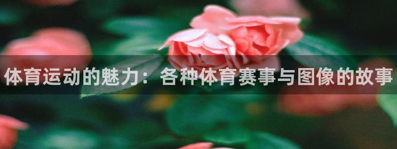 必威betway西汉姆联：体育运动的魅力：各种体育赛事与图像的故事