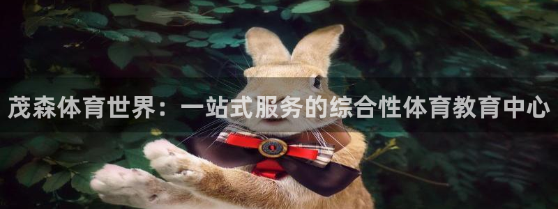betway西汉姆：茂森体育世界：一站式服务的综合性体育教育中心
