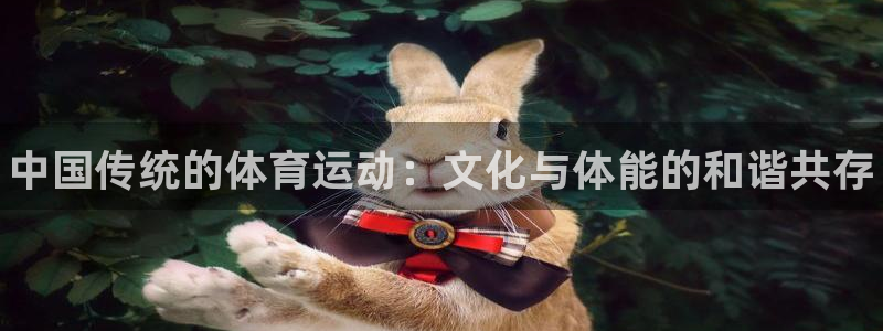 betway西汉姆：中国传统的体育运动：文化与体能的和谐共存