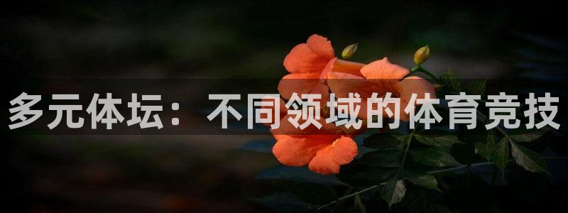 betway西汉姆：多元体坛：不同领域的体育竞技