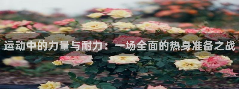 betway西汉姆联官网：运动中的力量与耐力：一场全面的热身准备之战