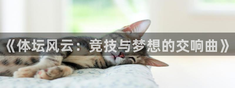 betway西汉姆联：《体坛风云：竞技与梦想的交响曲》