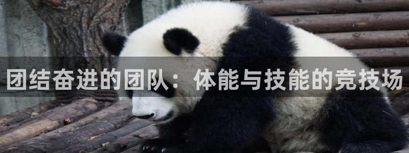 betway西汉姆官网：团结奋进的团队：体能与技能的竞技场